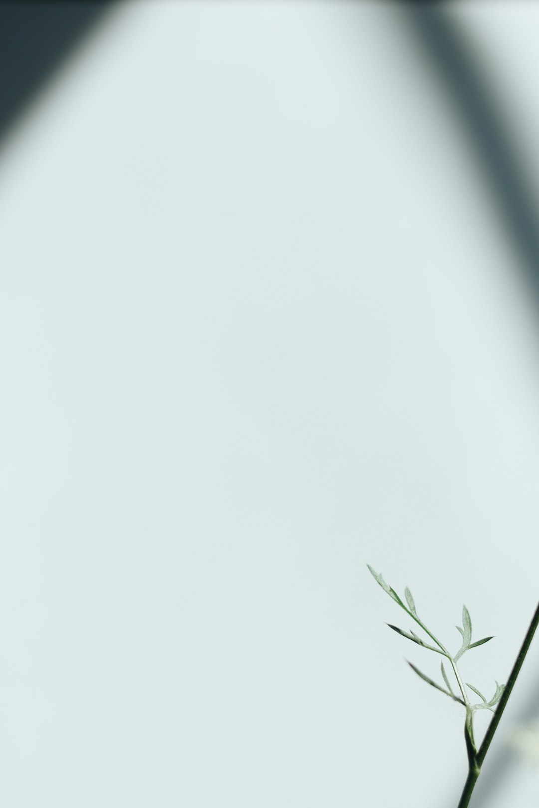 トイレクリーナースプレー