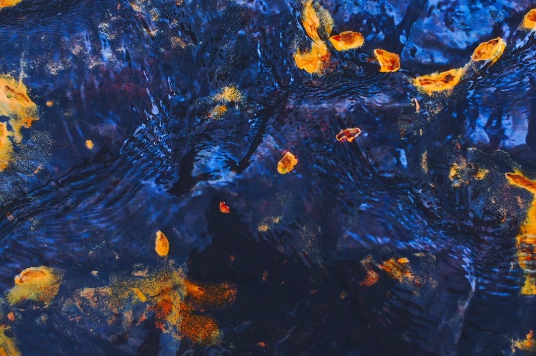 自然由来のクリーニング製品